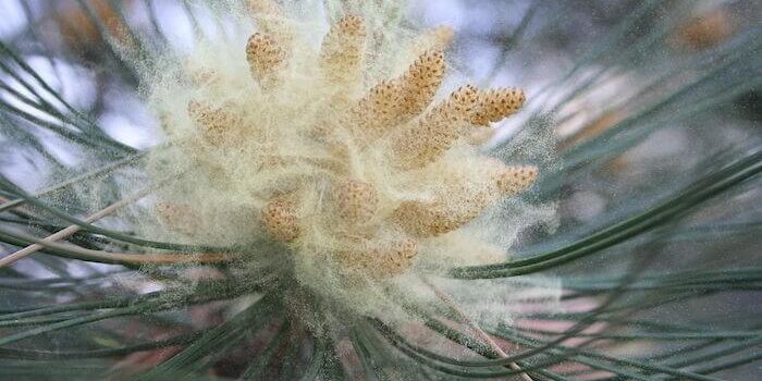 best-air-conditioning-filters-for-baton-rouge best-air-conditioning-filters-for-baton-rouge